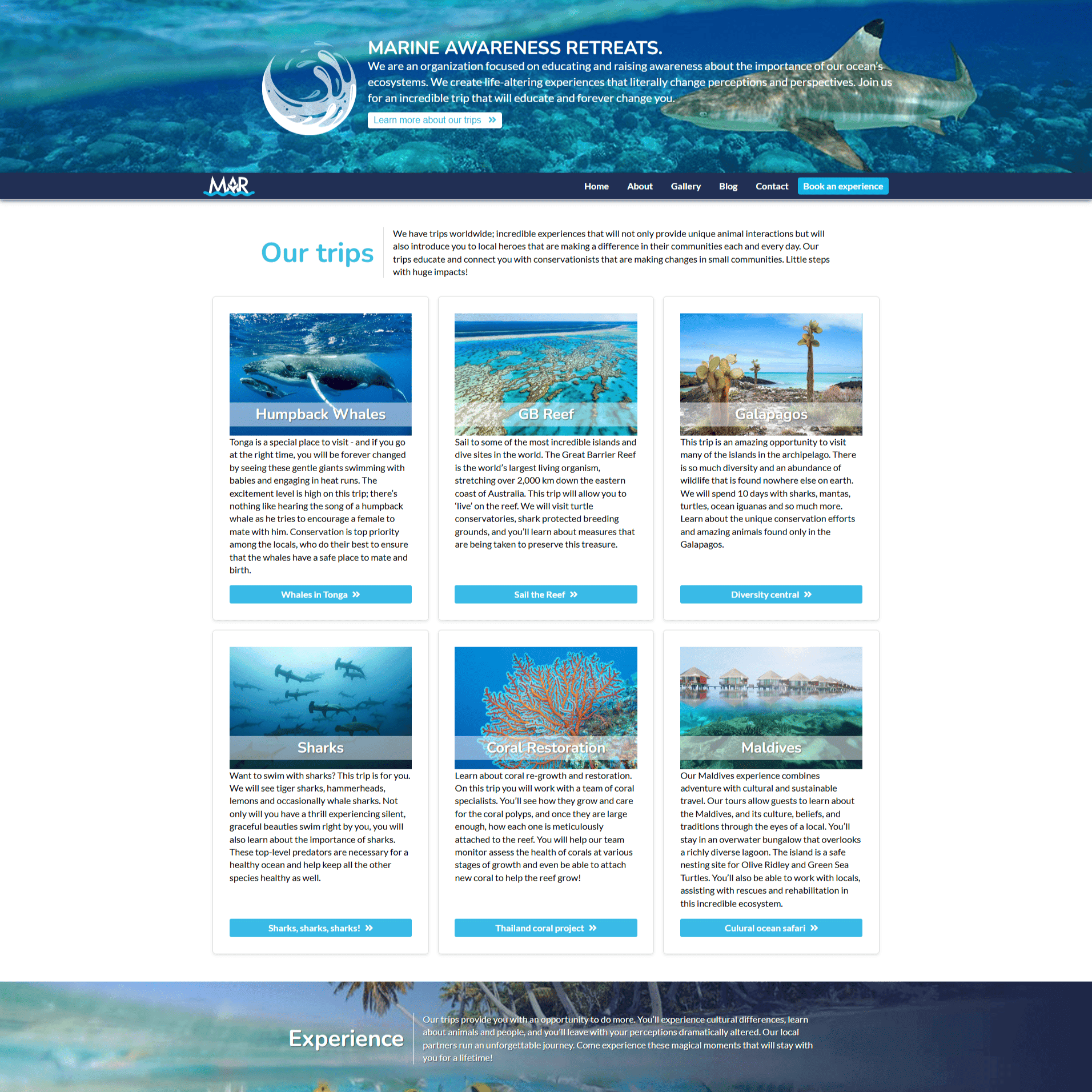 Marine awareness retreat screenshot